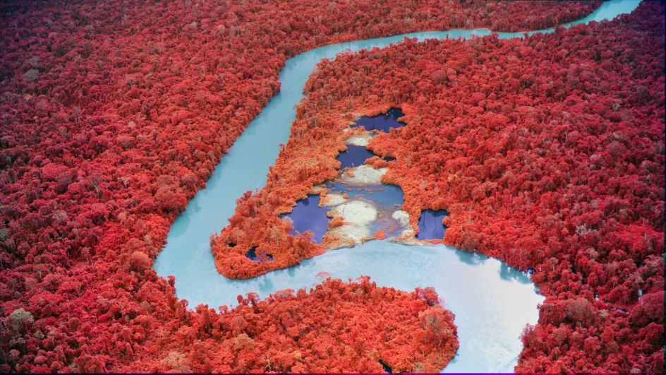 Still from Broken Spectre, 2022, five channel 4K video with 20.4 surround sound. Courtesy of the artist, Jack Shainman Gallery, New York and carlier | gebauer, Berlin/Madrid. © Richard Mosse. Co-commissioned by the National Gallery of Victoria, VIA Art Fund, the Westridge Foundation and Serpentine Galleries