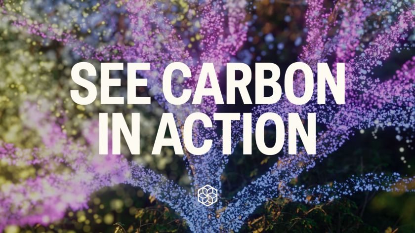 How&How Studio rebrand of Pachama helps shake up the carbon capture industry