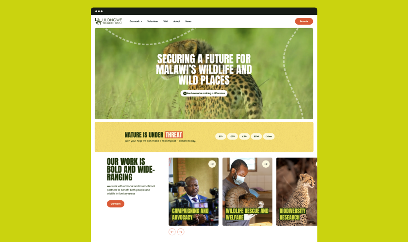 Securing a future for Malawi's wildlife at the heart of brand and website refresh