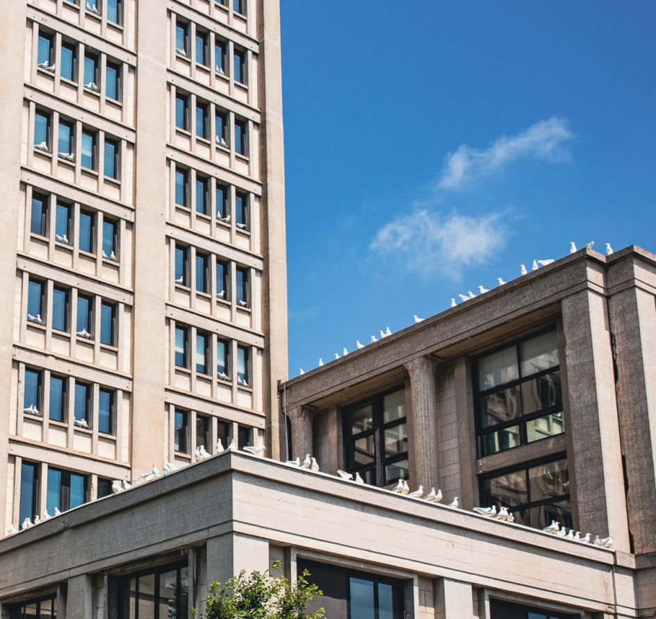 Sense of Belonging © Patrick Murhpy. Photography by Arnaud Tinel