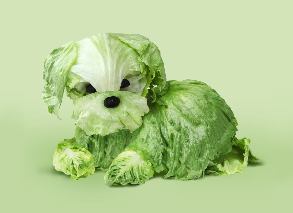 Photographs by Helga Stentzel of clothes on a washing line transformed