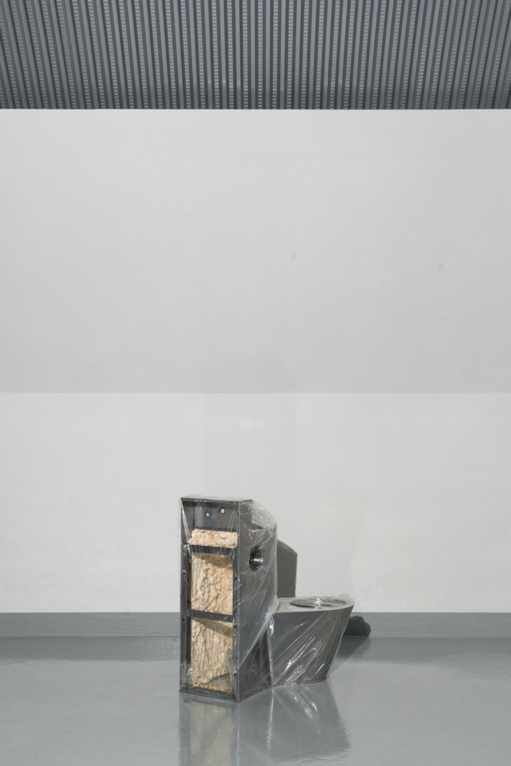 Кредит: Пиркарло Кекиа в DSL Studio