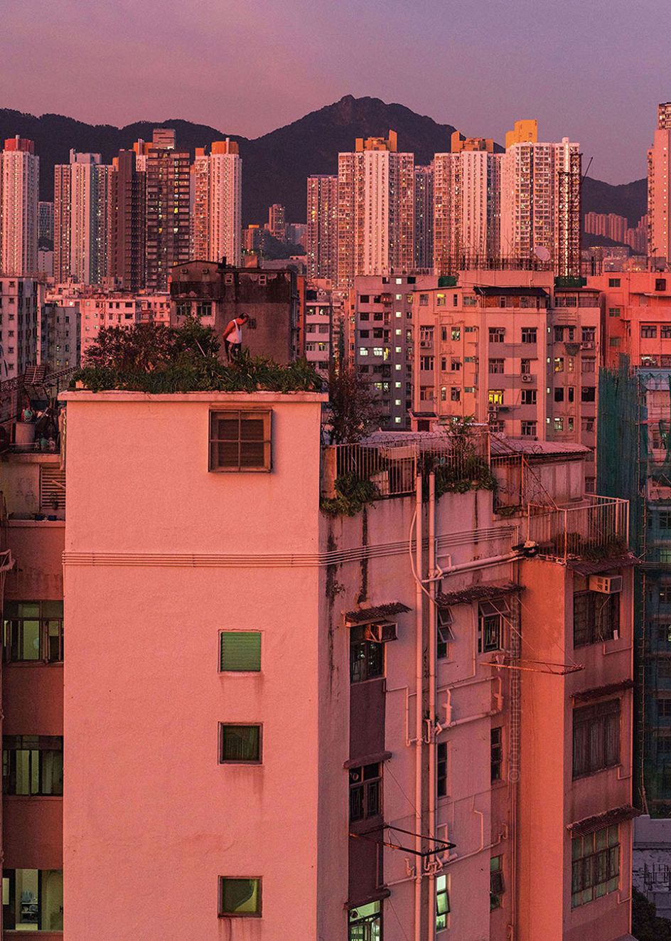 © Romain Jacquet-Lagréze, Contemplative Gardener, Hong Kong 2020, Courtesy of Blue Lotus Gallery