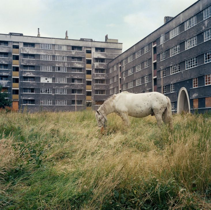 Epilogue – The Demise of the Quarry Hill Flats © Peter Mitchell. Published by RRB Books