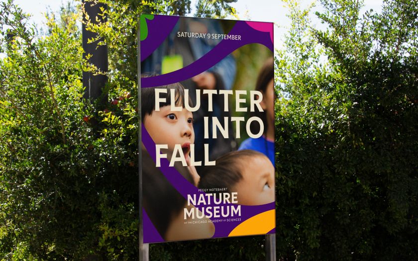 Span takes influence from Illinois's native prairies for Chicago's Nature Museum brand