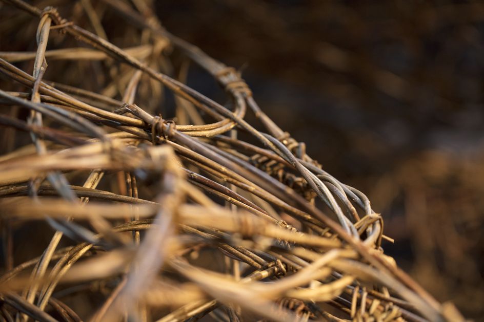 Photo credit: Electric Egg