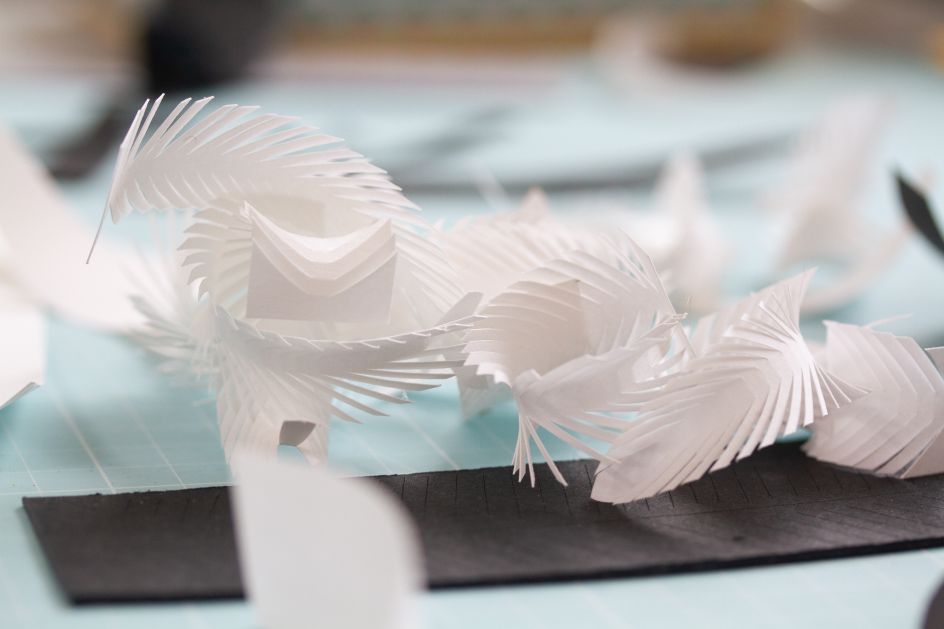 Photography by Moose Azim