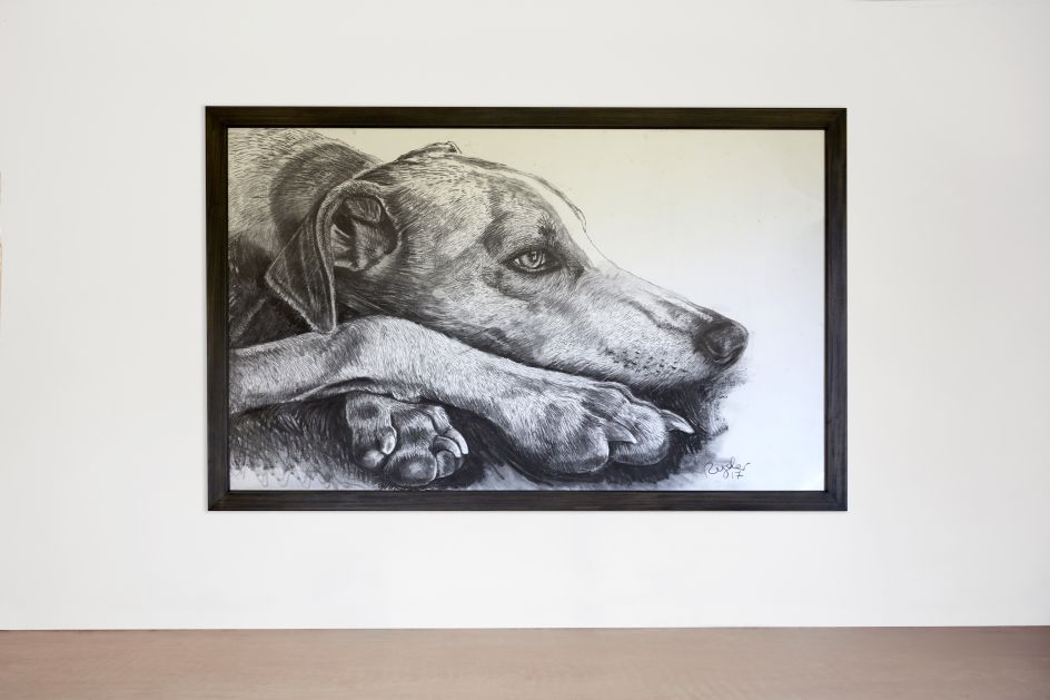 Luigi Head with Foot, 165.5 X 255cm, photo by Tania Dolvers, courtesy of Hignell Gallery