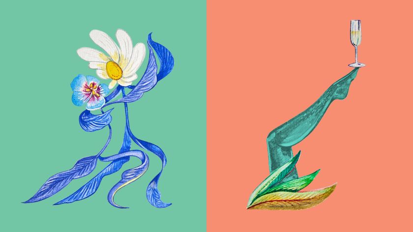 Wine brand offers a design journey through Portuguese landscapes and libations