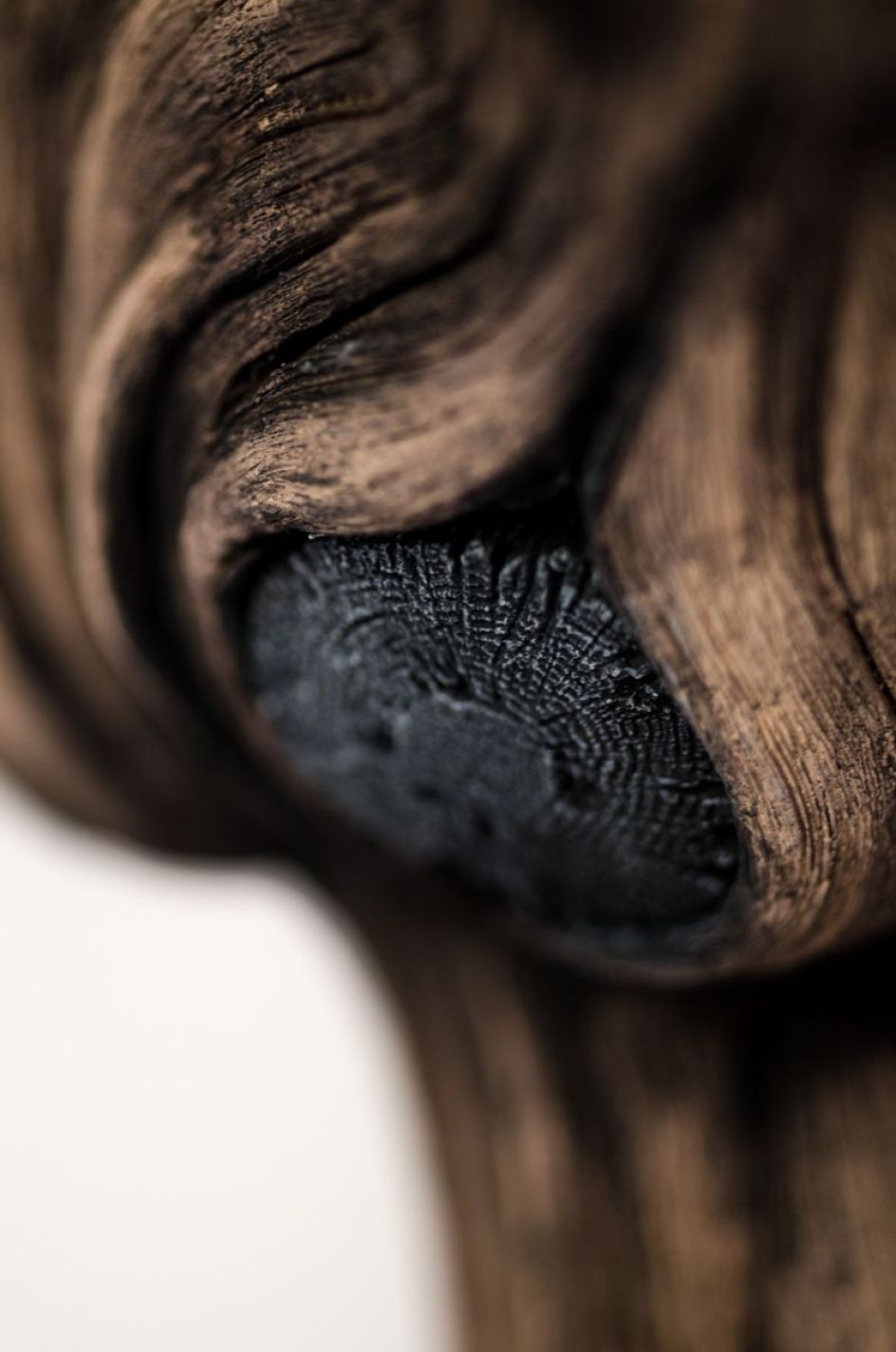 First Contact | Christopher David White