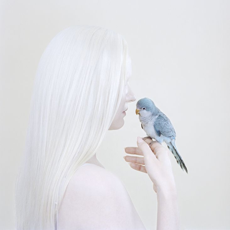 Birds Eye, 2018 pigment print 100 x 100 cm edition of 8 + 2AP $6,000 unframed 120 x 120 cm edition 4 + 2AP $8,000 unframed. © Petrina Hicks