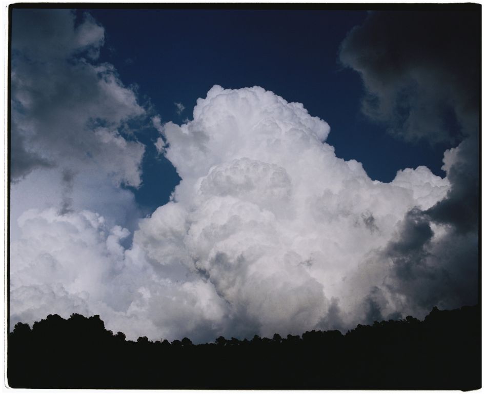 Sense títol. Abril, 2020 © Adrià Cañameras