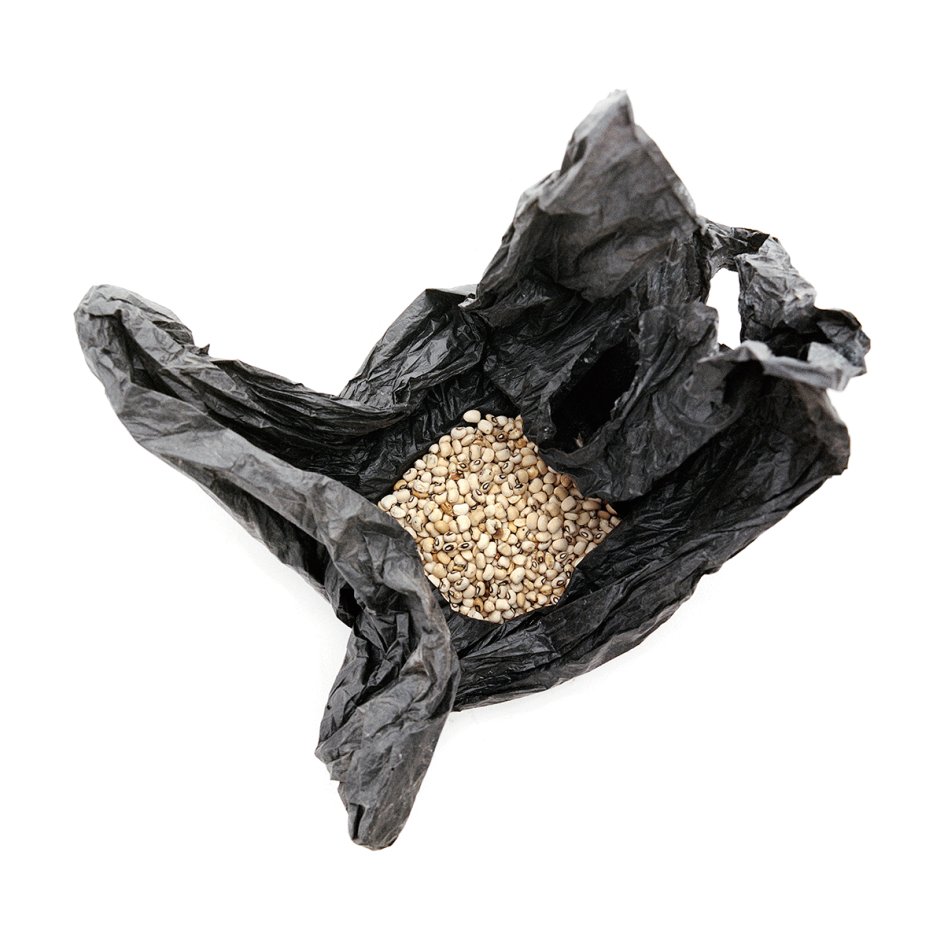 Chis de Bode/ British Red Cross