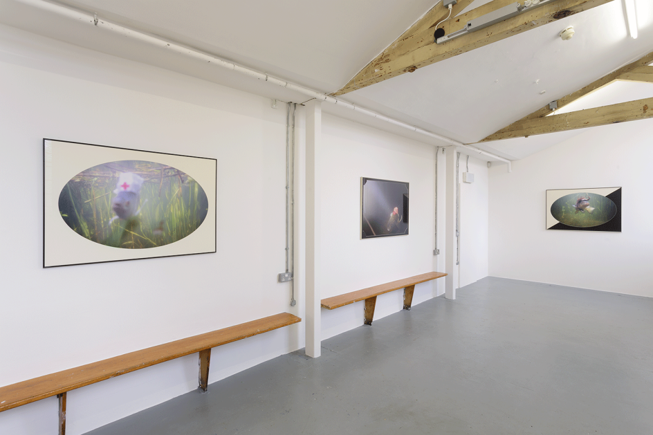 Photography: Tim Bowditch