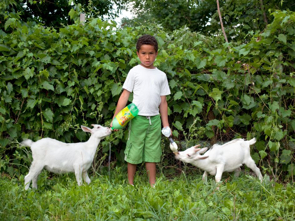 PJ and goats, 2011. Courtesy of Corine Vermeulen