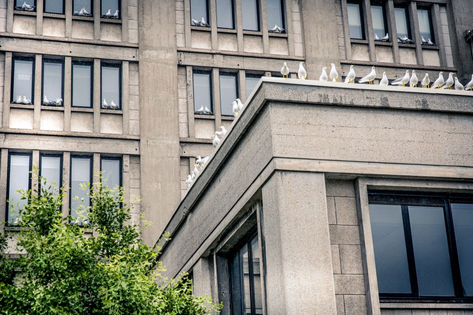 Sense of Belonging © Patrick Murhpy. Photography by Arnaud Tinel