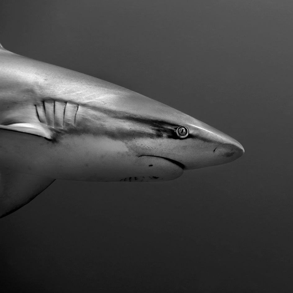 The Marks of Time © Jean-Marie Ghislain, www.lumas.com