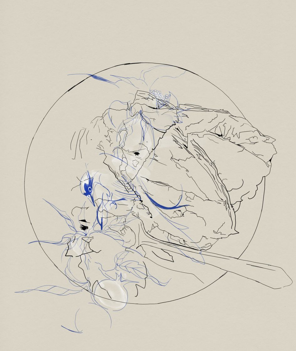 Summer Fruits early sketch