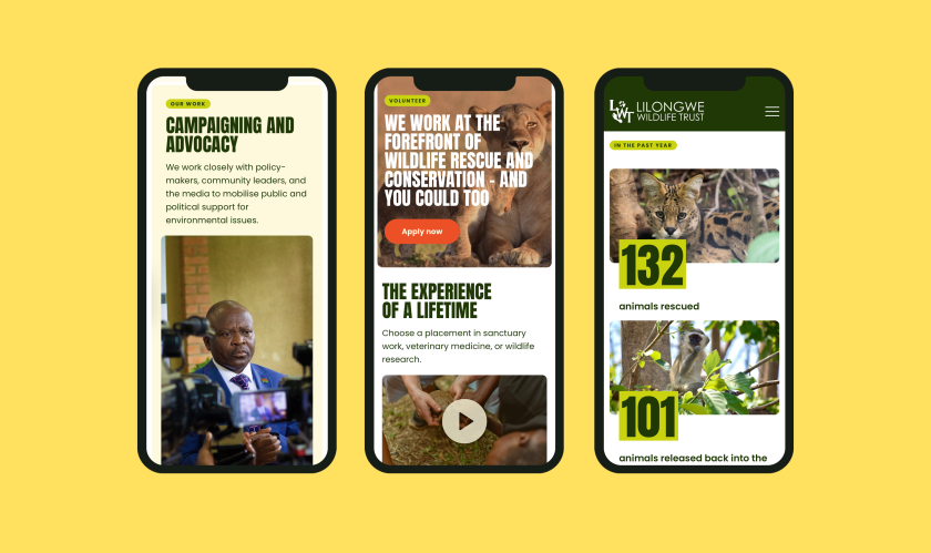 Securing a future for Malawi's wildlife at the heart of brand and website refresh