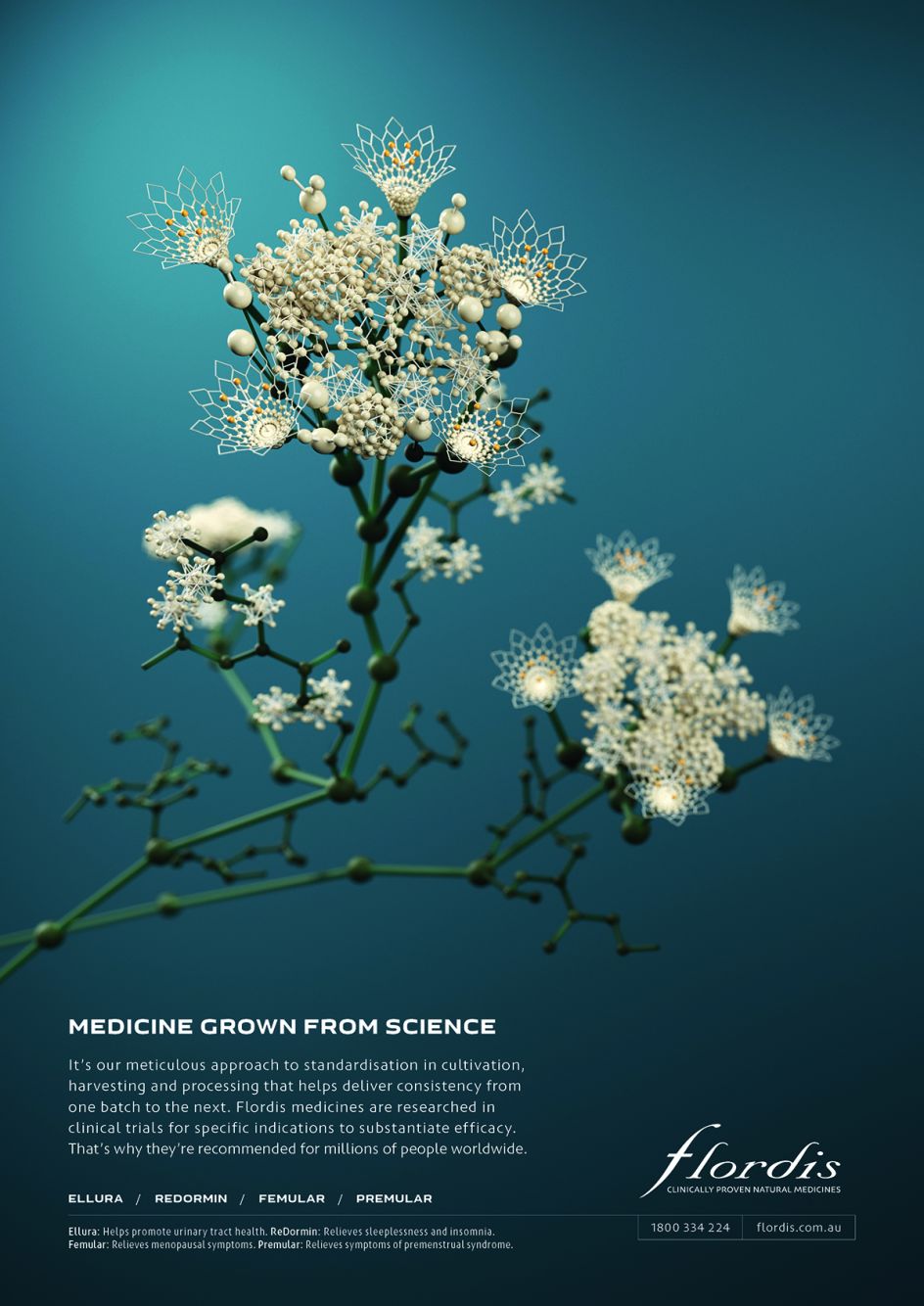 Forge & Morrow - Winner of Advertising Professional