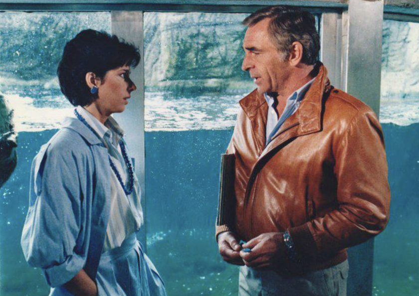 123 episodes of Danger Bay were filmed between 1984 and 1990