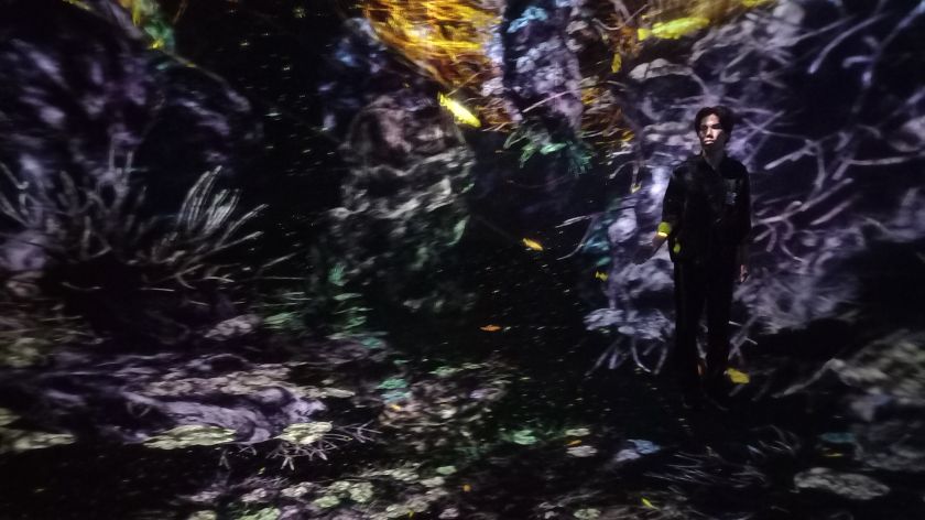 Tokyo's teamLab Borderless is the future of art shows, and it's coming to Europe