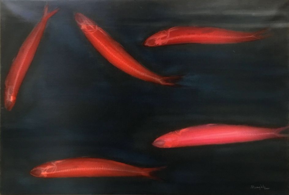 Vedere oltre, Aldilà del mare: Rx, sardine in rosso, 2003 Alcohol on pigmented canvas. 75 x 108 cm (29.5 x 42.5 in)