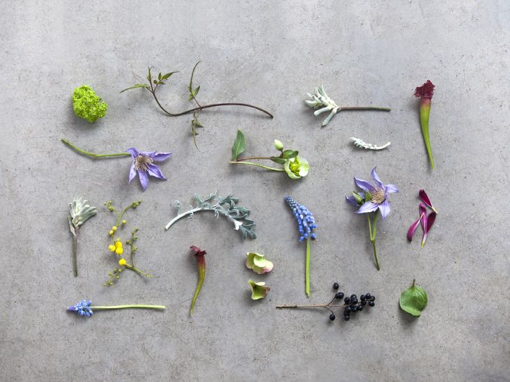 All images courtesy of Reed Words