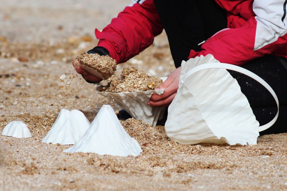 Image credit: Rosie Lonsdale