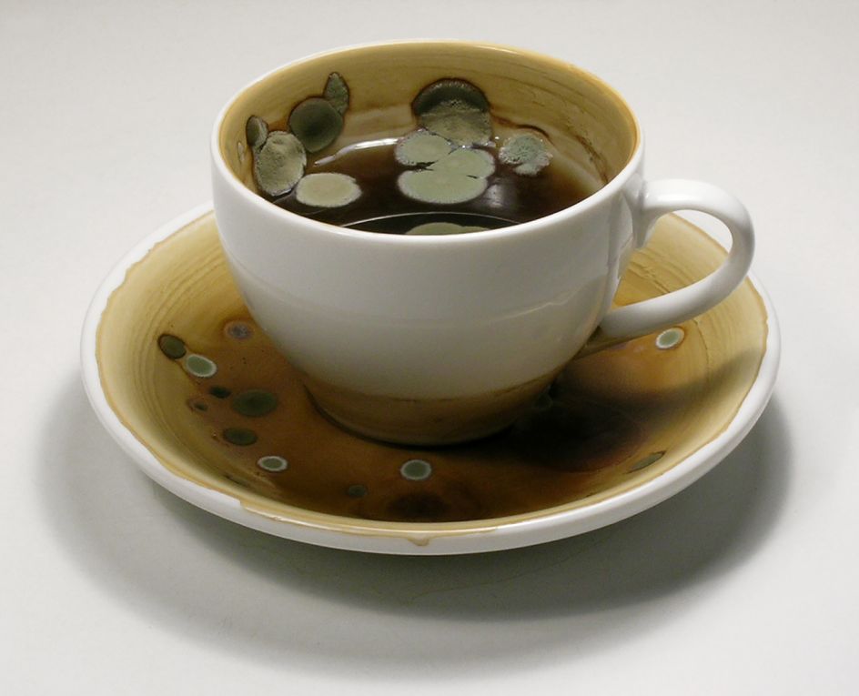 Saara Ekström, Clouded Yellow Bud, 2007, stop frame animation transferred on DVD, loop