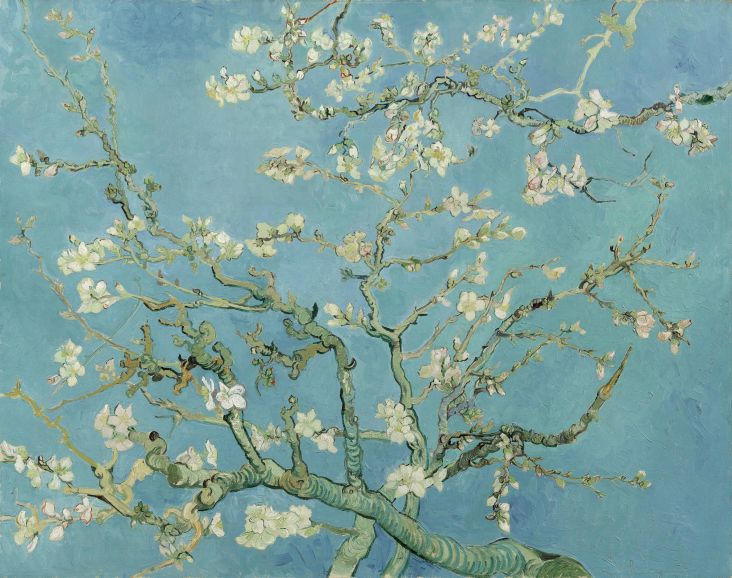 Almond Blossom. Vincent van Gogh (1853 - 1890), Saint-Rémy-de-Provence, February 1890. Oil on canvas, 73.3 cm x 92.4 cm. Credit: Van Gogh Museum, Amsterdam (Vincent van Gogh Foundation)