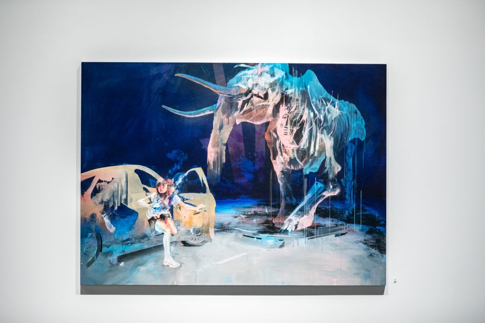 Installation shot by Birdman Photos