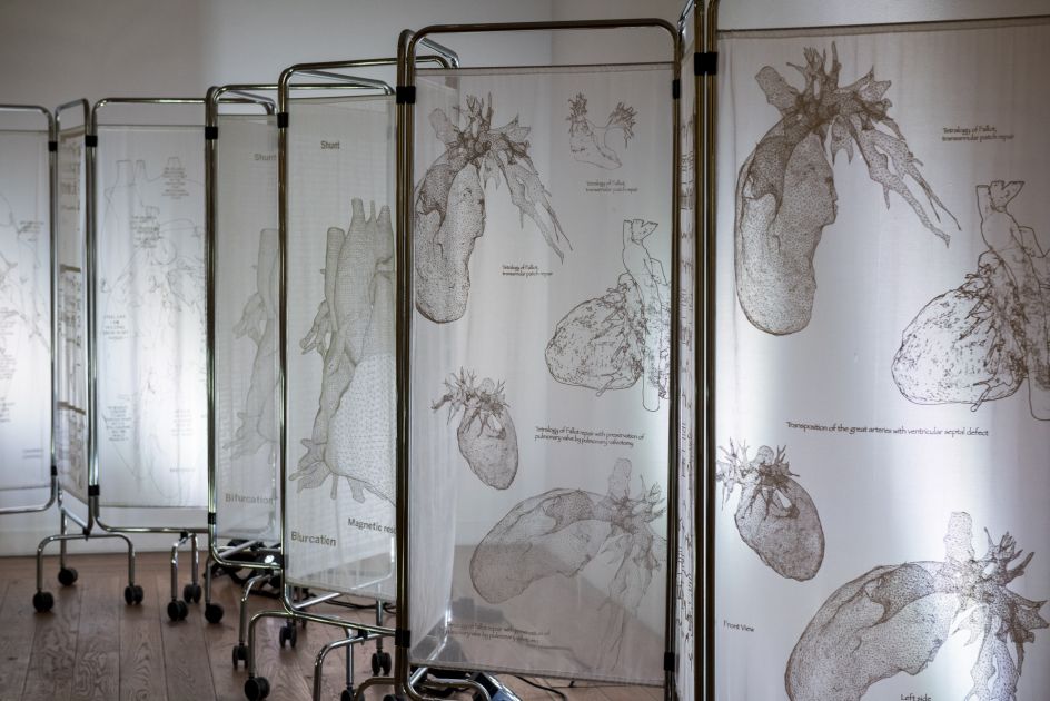 Sofie Layton, Making the Invisible Visible II. Image. Great North Museum. Image: Stephen King