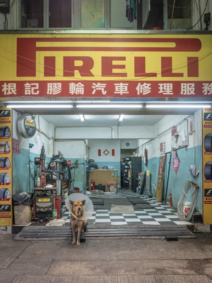 All images courtesy of the artist. Via Creative Boom submission.