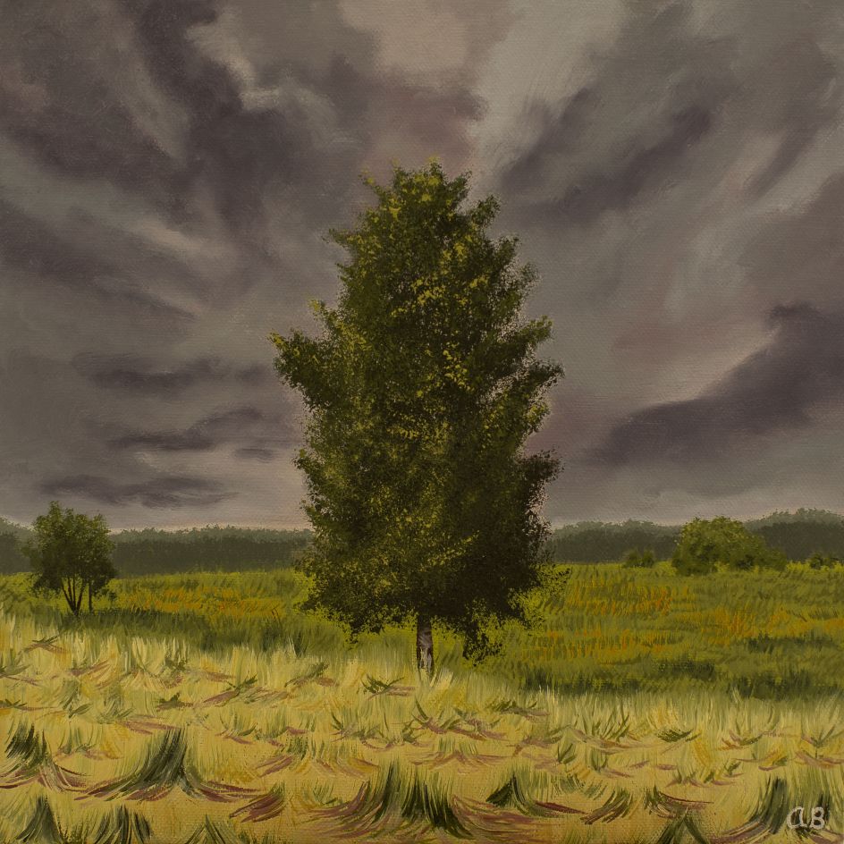 Alone © Afton Brazzoni