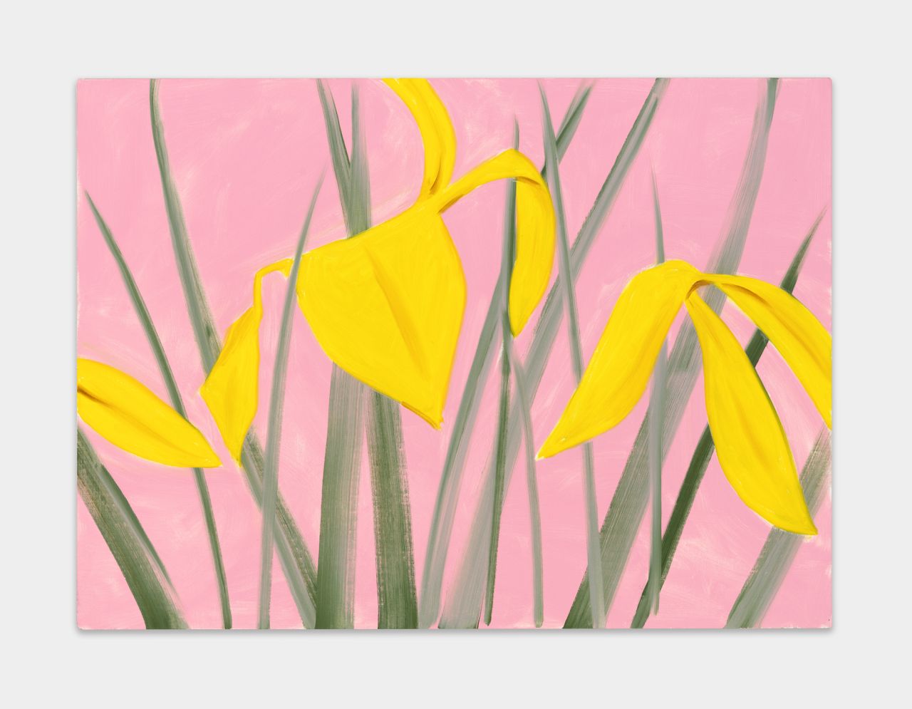 Alex Katz, Iris 2, 2019. © [2019] Alex Katz / VAGA at Artists Rights Society (ARS), NY