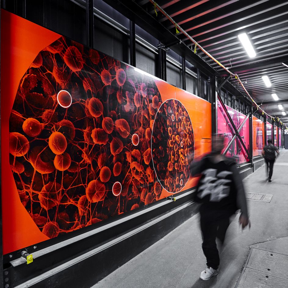 Pretty Little Things Art Installation by Beck Storer. Winner in Graphics and Visual Communication Design Category, 2018 - 2019.