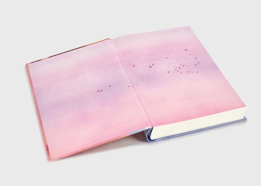 The sun is shining for illustrator Isabel Seliger