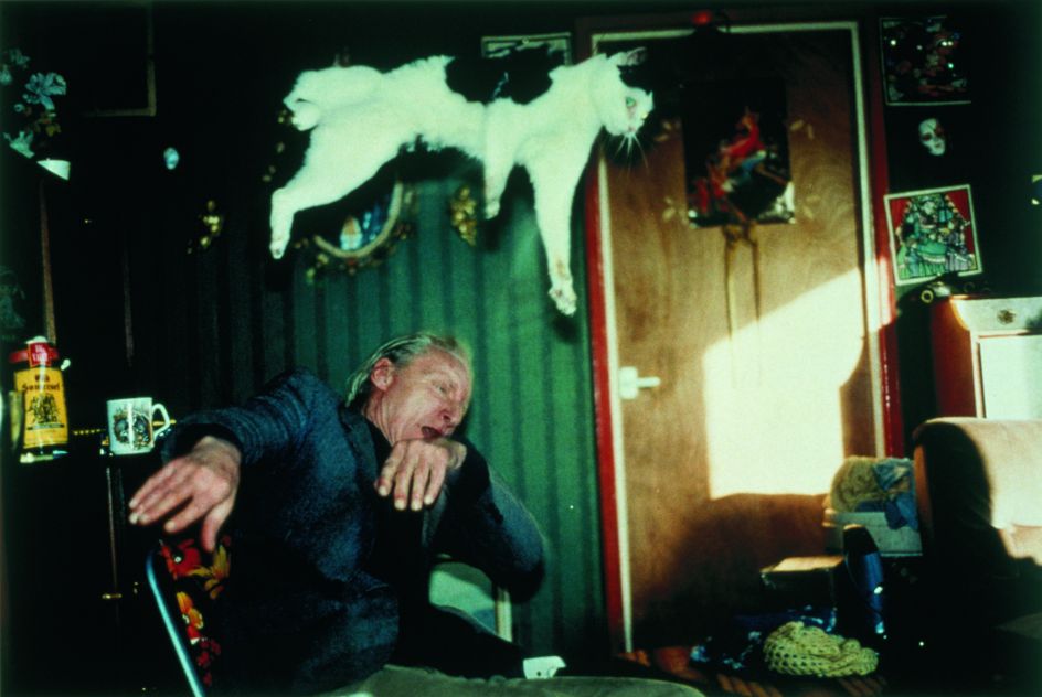 Richard Billingham Untitled (RAL 28), 1994, © Richard Billingham, 1994 Image courtesy of the Saatchi Gallery, London
