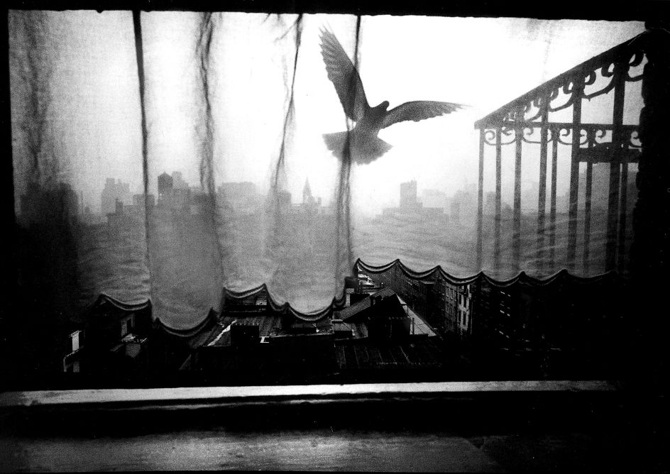 © Ken Van Sickle