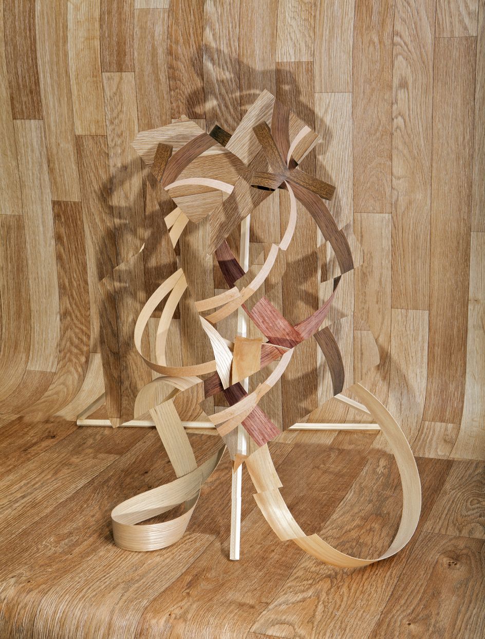 Veneer Wood Wood, 2014 © Nico Krijno courtesy Beetles + Huxley