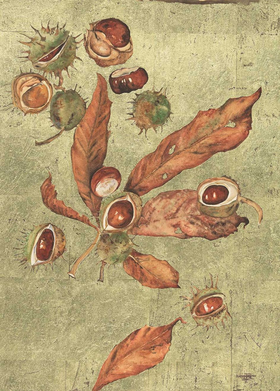 Jackie Morris, Conker, 2017 © Jackie Morris