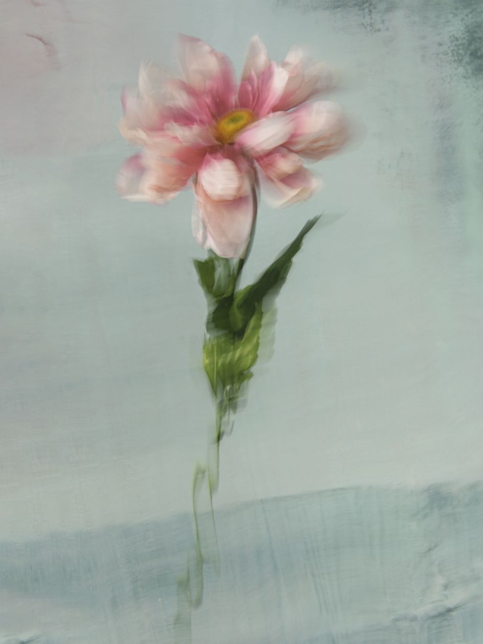 From the series Appearances © Barbara Cole