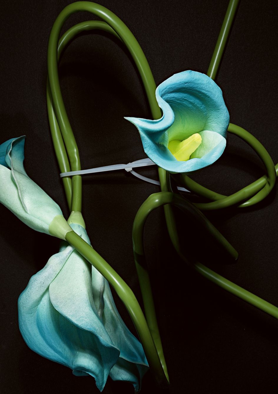 Kammerspiel / Chamber Play #113, 2021 © Claus Stolz and VG Bild-Kunst, Bonn 2022