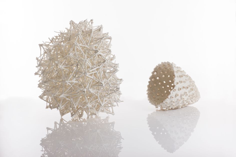 Nuala O’Donovan, Radiolaria grid Demi-Sphere and Elizabeth Fern