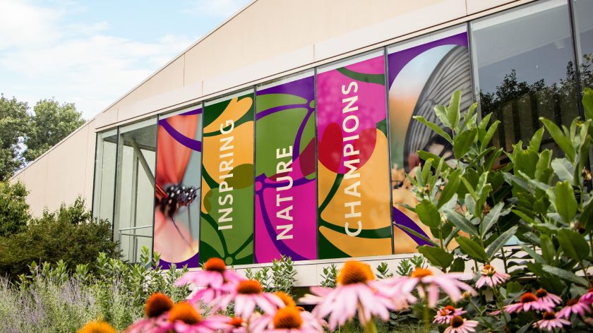 Span takes influence from Illinois's native prairies for Chicago's Nature Museum brand