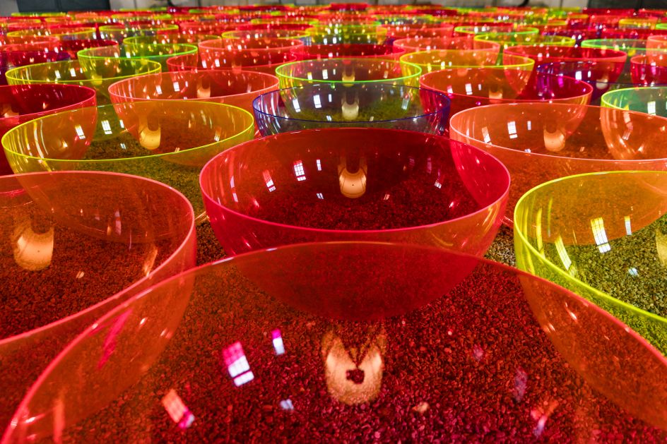 © Aglow by Liz West, 2018. Image courtesy Nemozena | Julien Philippy