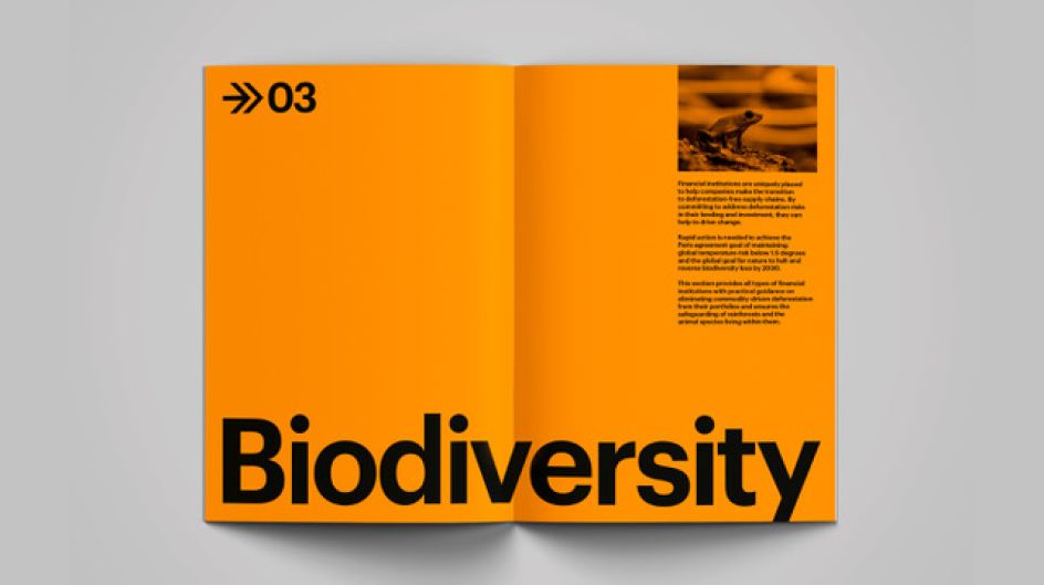 Deforestation-Free Finance wants to achieve its goals by 2025, so time's running out