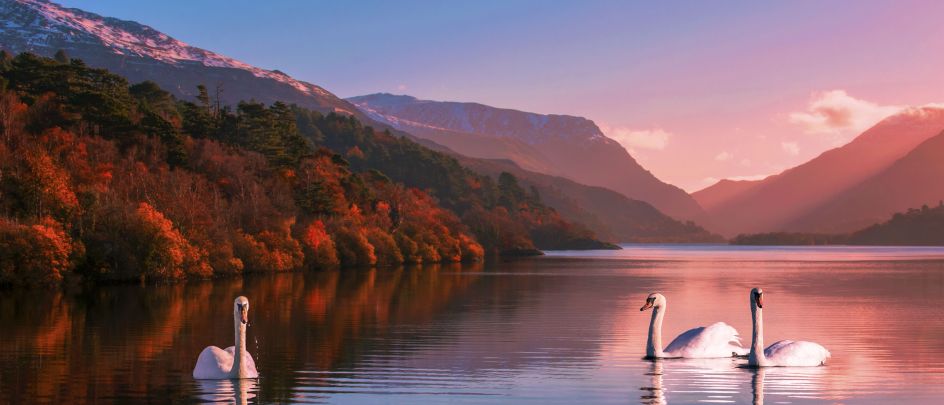 Image credit: David Evans