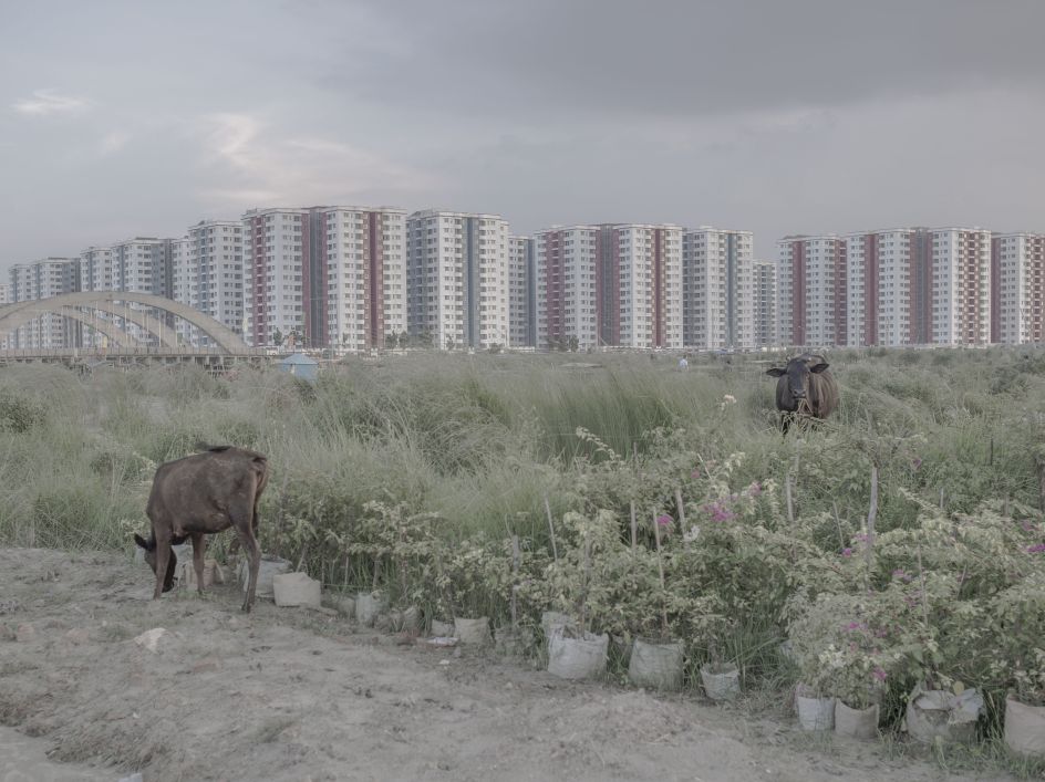 Copyright: © Reyad Abedin, Bangladesh, Student Shortlist, 2020 Sony World Photography Awards